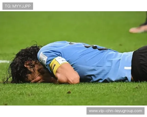 世界杯此组像是命运写下的一段伏笔