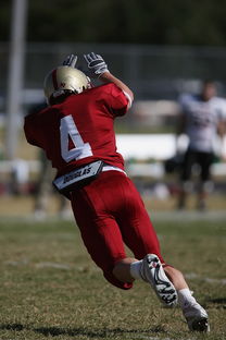 LEYU乐鱼官网-教练强调战术纪律,球队防守效率提升,球员布置战术